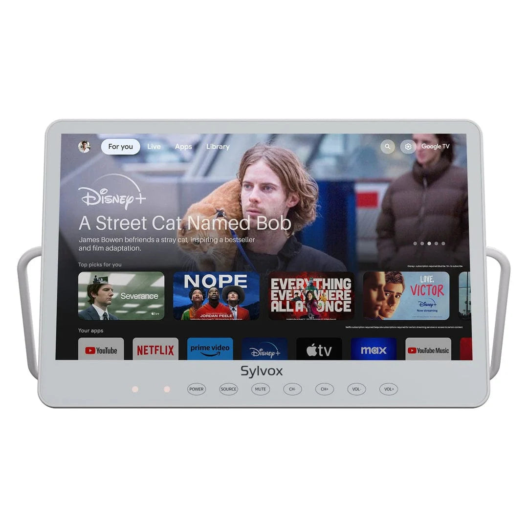 Portable TV