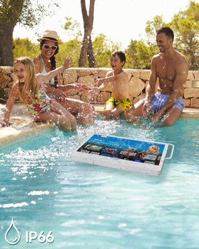 Portable TV