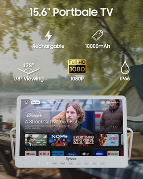 Portable TV