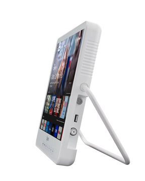Portable TV